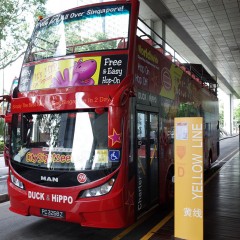 シンガポールのHop on Hop off バスは便利